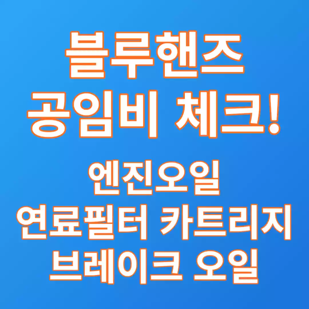  싼타페DM 엔진오일 연료필터 카트리지 브레이크오일 교환비용 블루핸즈 공임비(가격) 참고