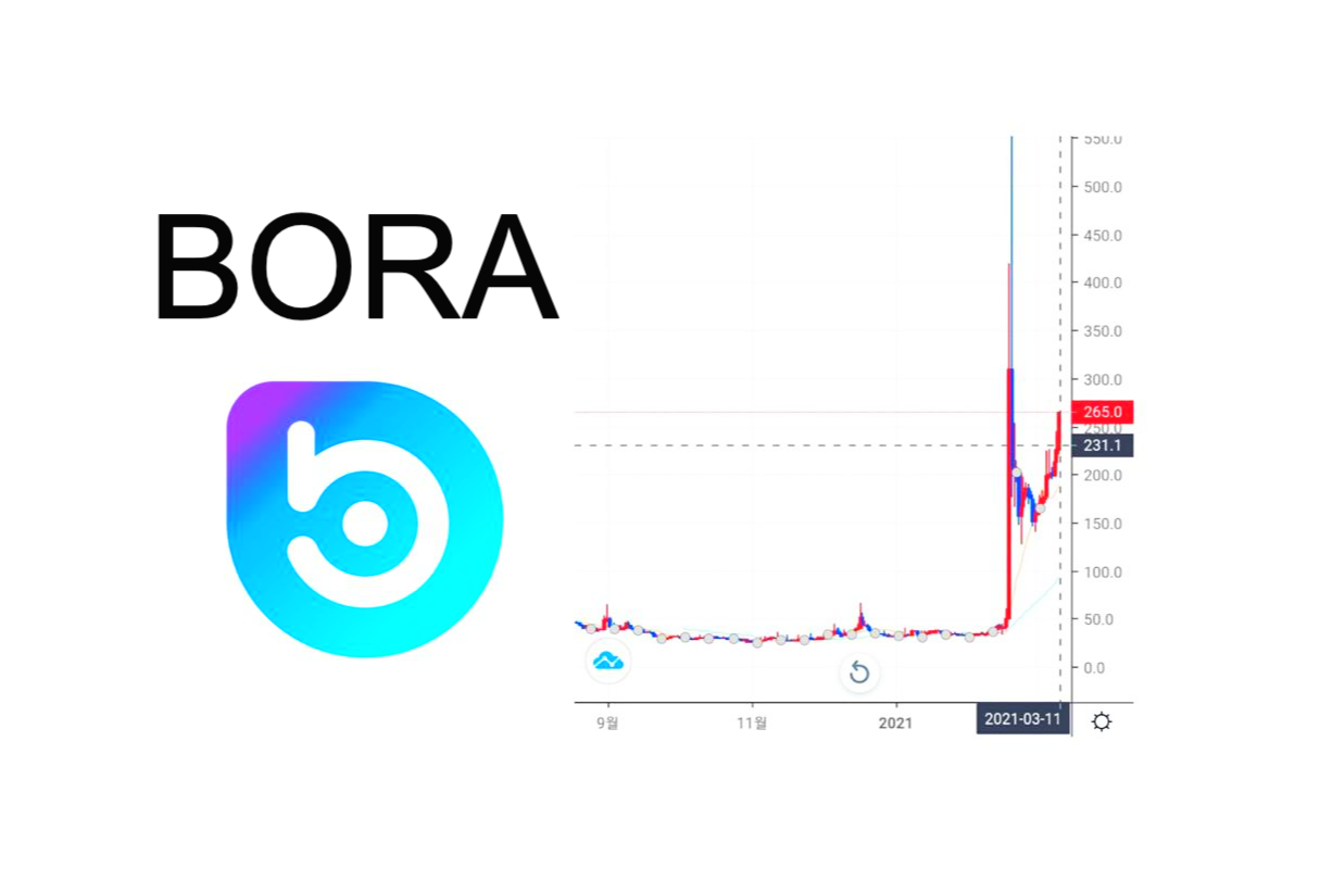  보라코인(BORA) 2021 전망.급등이유(ft.카카오)