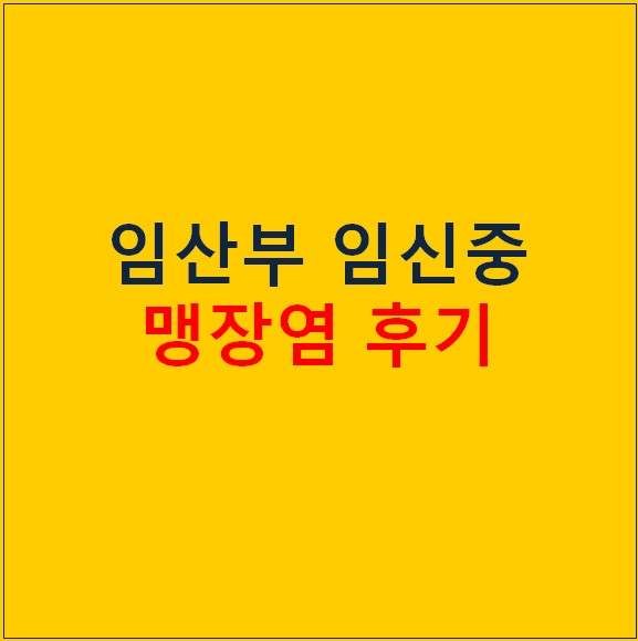 임산부 임신중 복통 맹장염 (충수염) 수술 후기