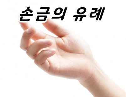 손금은 인생의 흐름과 왜  맞는 것일까?
