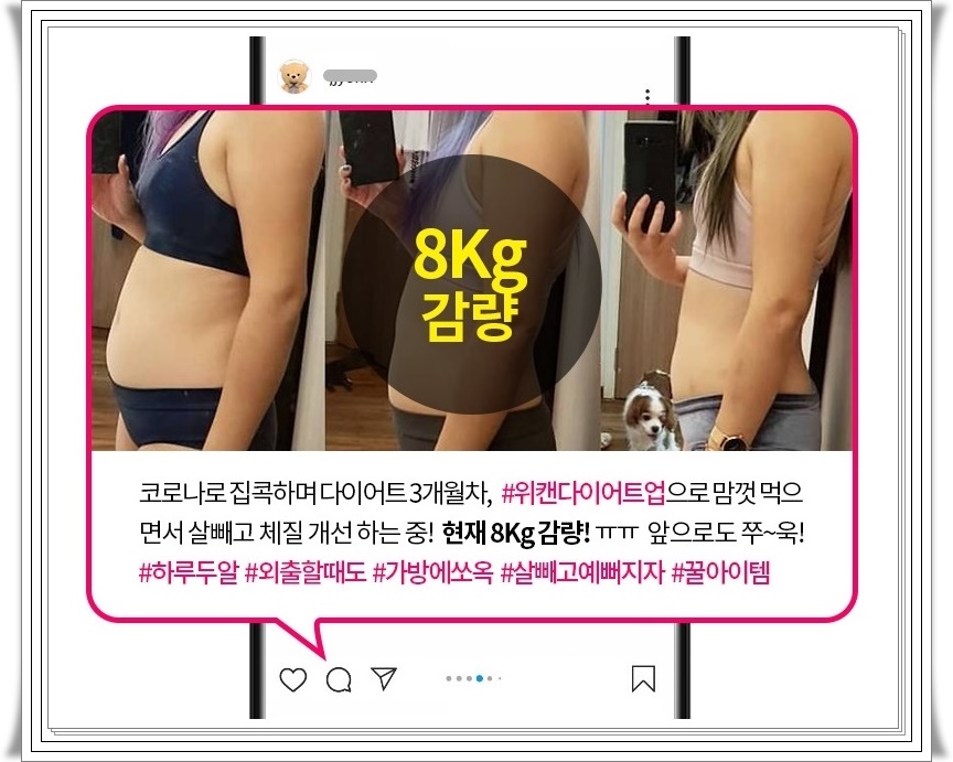 위캔 다이어트로 체지방관리(운동,식단) 4