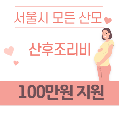  서울시  모든 산모 산후조리비 100만원 지원