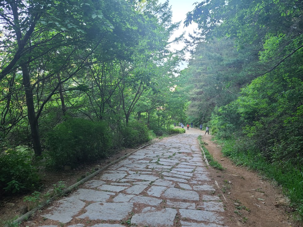 흑약 100대 지리산 바라봉 최단 등산코스 11
