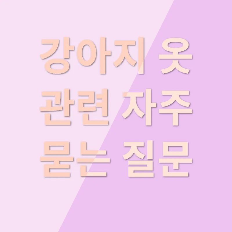 강아지 옷_4