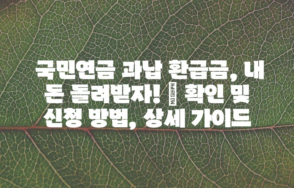 샘플 (43)