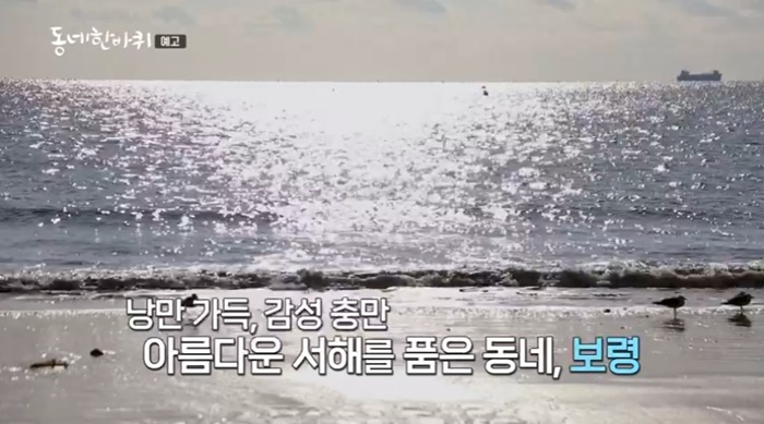 충남보령-대천해수욕장-동네한바퀴
