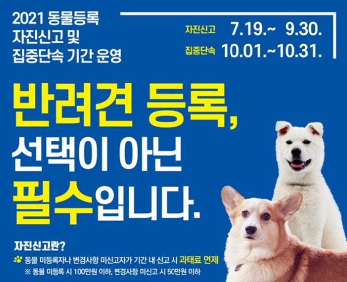  반려동물 등록 자진신고 방법 및 과태료