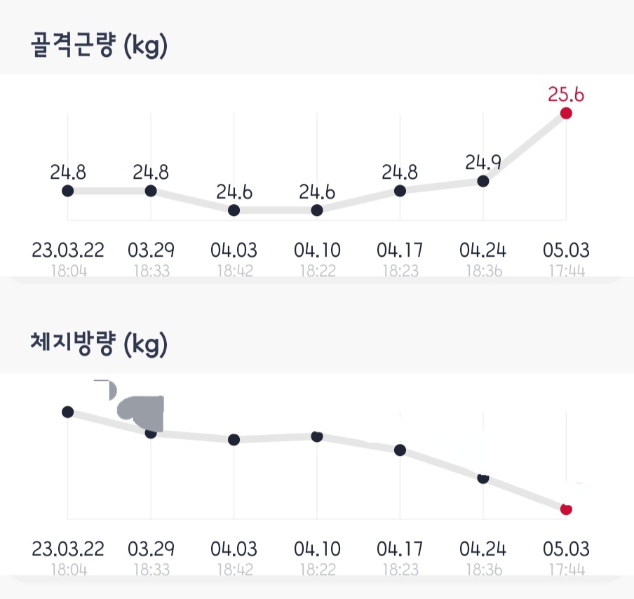 보미오라환 내돈내산 솔직후기 구매 전 필독