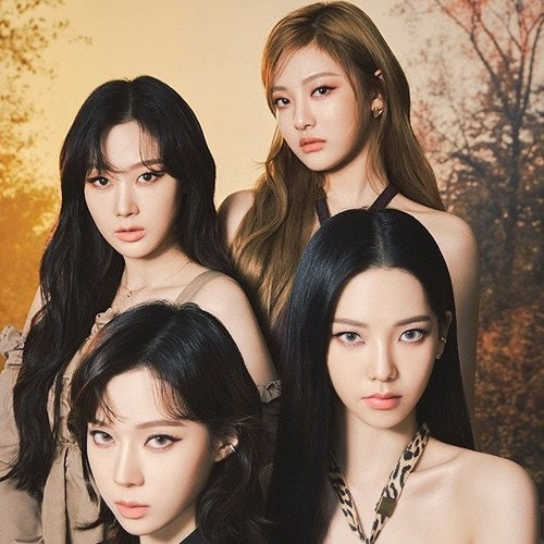 푸드팝 이미지