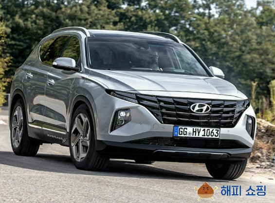 투싼 중고차 투싼 (NX4)
