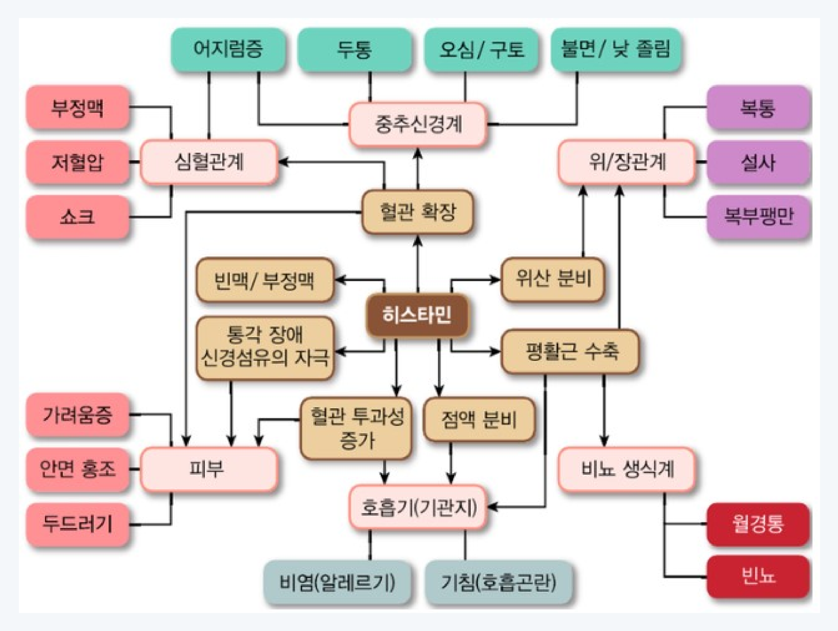 꽃가루와 알레르기