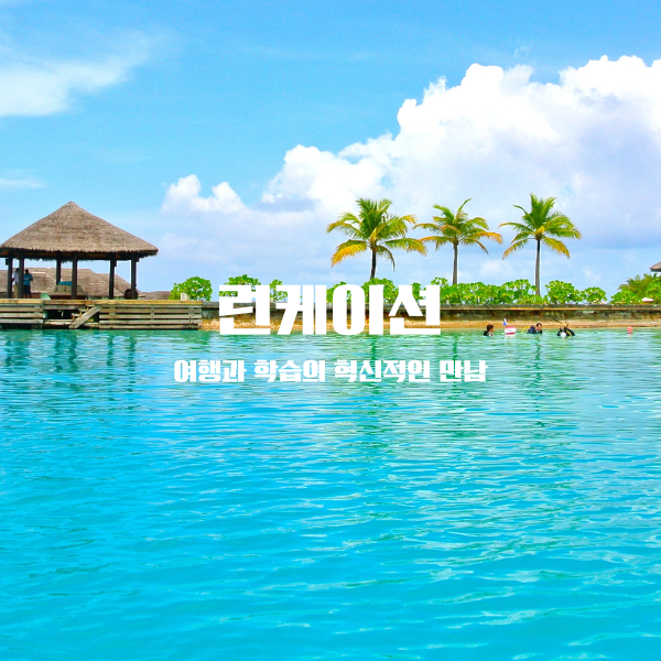 런케이션: 여행과 학습의 혁신적인 만남