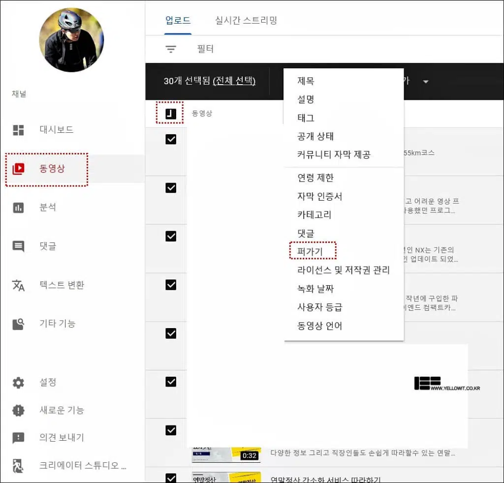 유튜브 퍼가기 공유 일괄설정