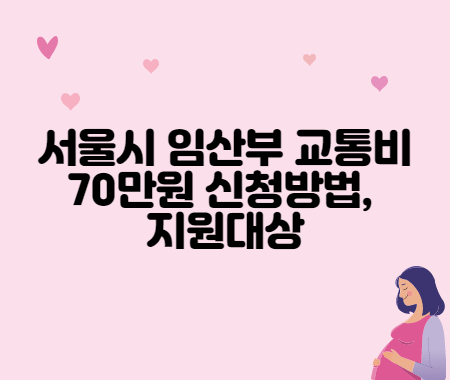 서울시 임산부 교통비 70만원 신청방법&#44; 지원대상