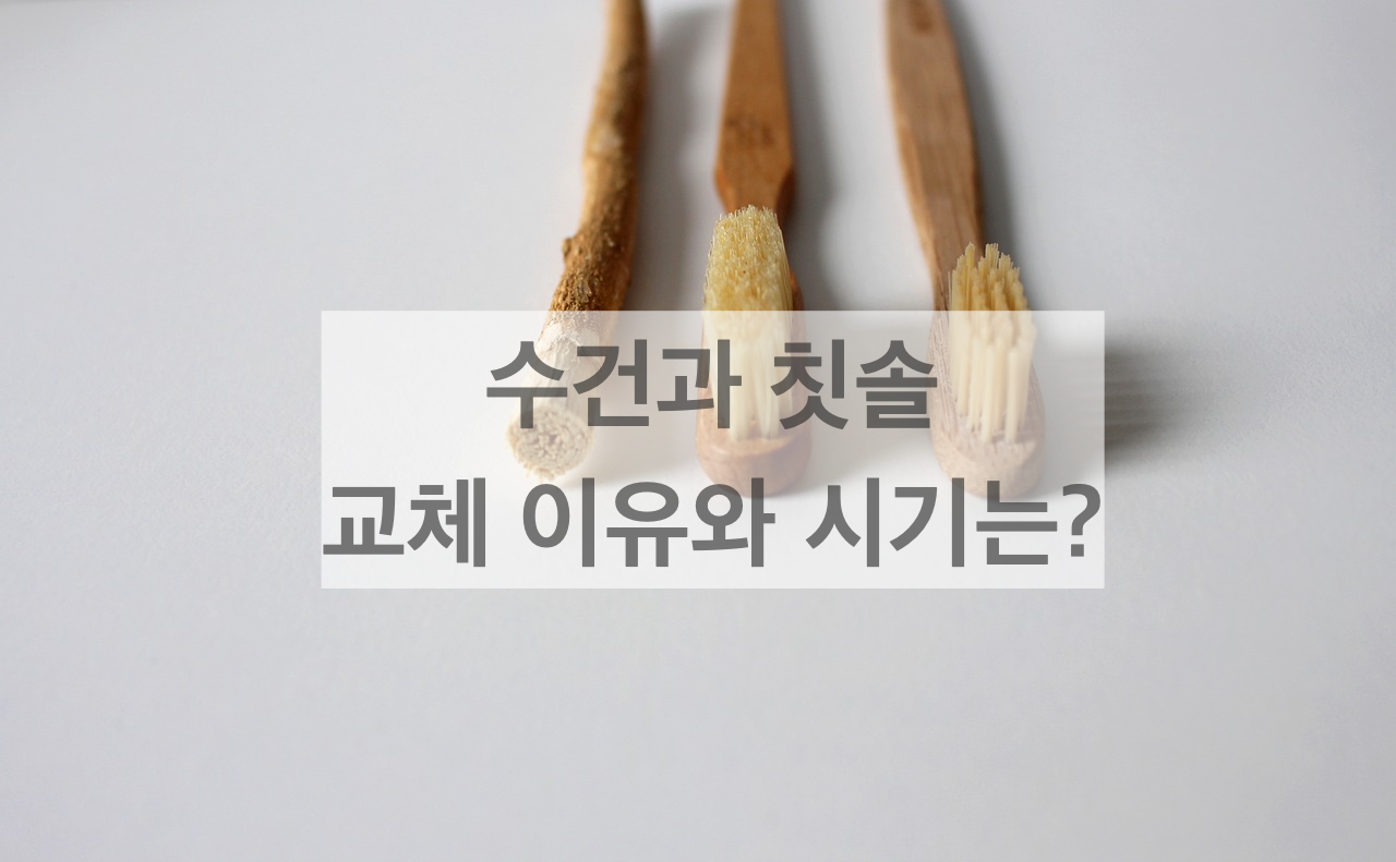 생활꿀팁 :: 칫솔 수건 교체 주기, 교체 이유
