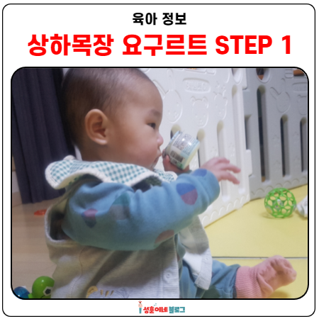  상하목장 유기농 요구르트 먹어봤어요
