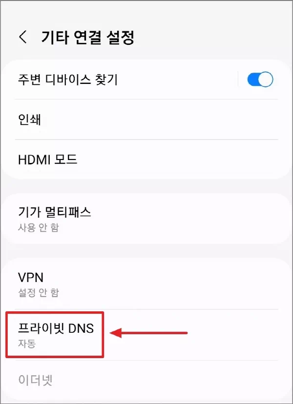 프라이빗 DNS