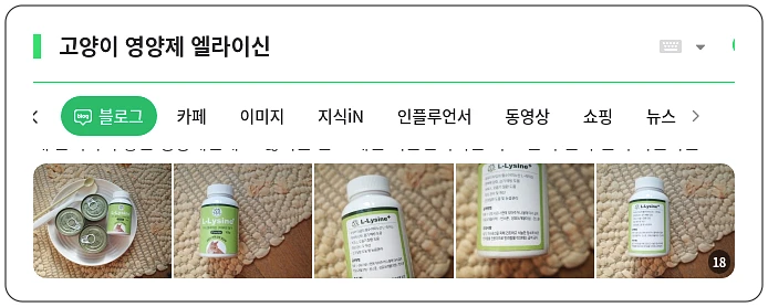 고양이 영양제 엘라이신_1_subsection