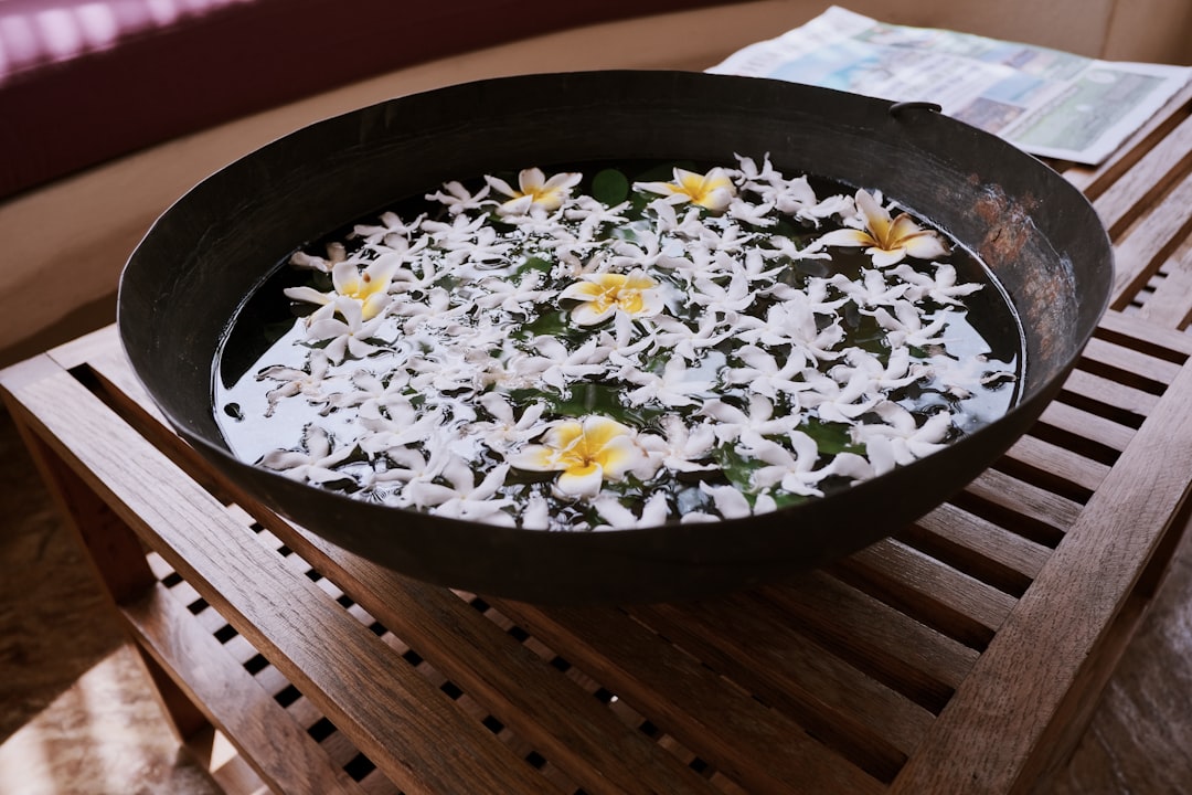 rice cooker