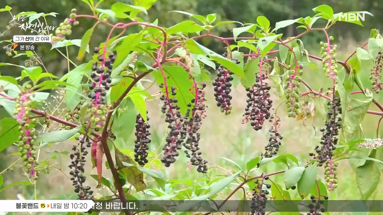 나는 자연인이다.E575.231012p-NEXT.mp4_20231012_200953.012.jpg