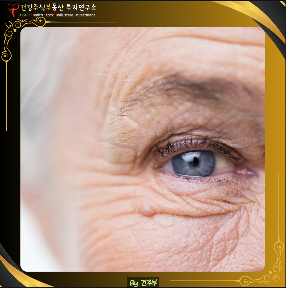 코엔자임 Q10(코큐텐) 효능과 부작용 섭취 방법
(글 그림 : 건주부, 그림 출처 : Canva)