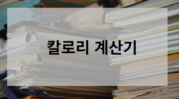 칼로리 계산기