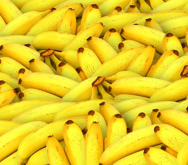 바나나-송이