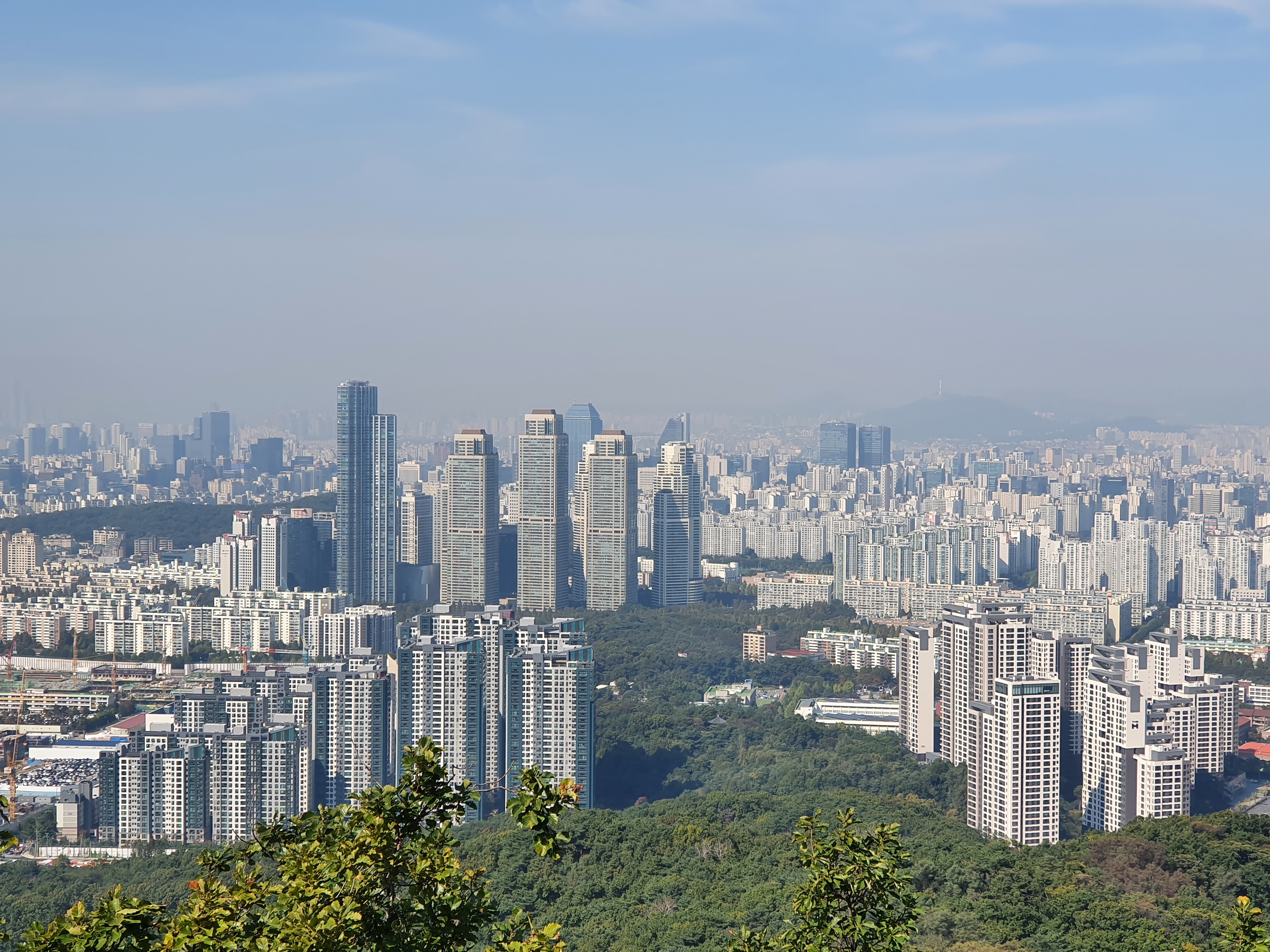 강남