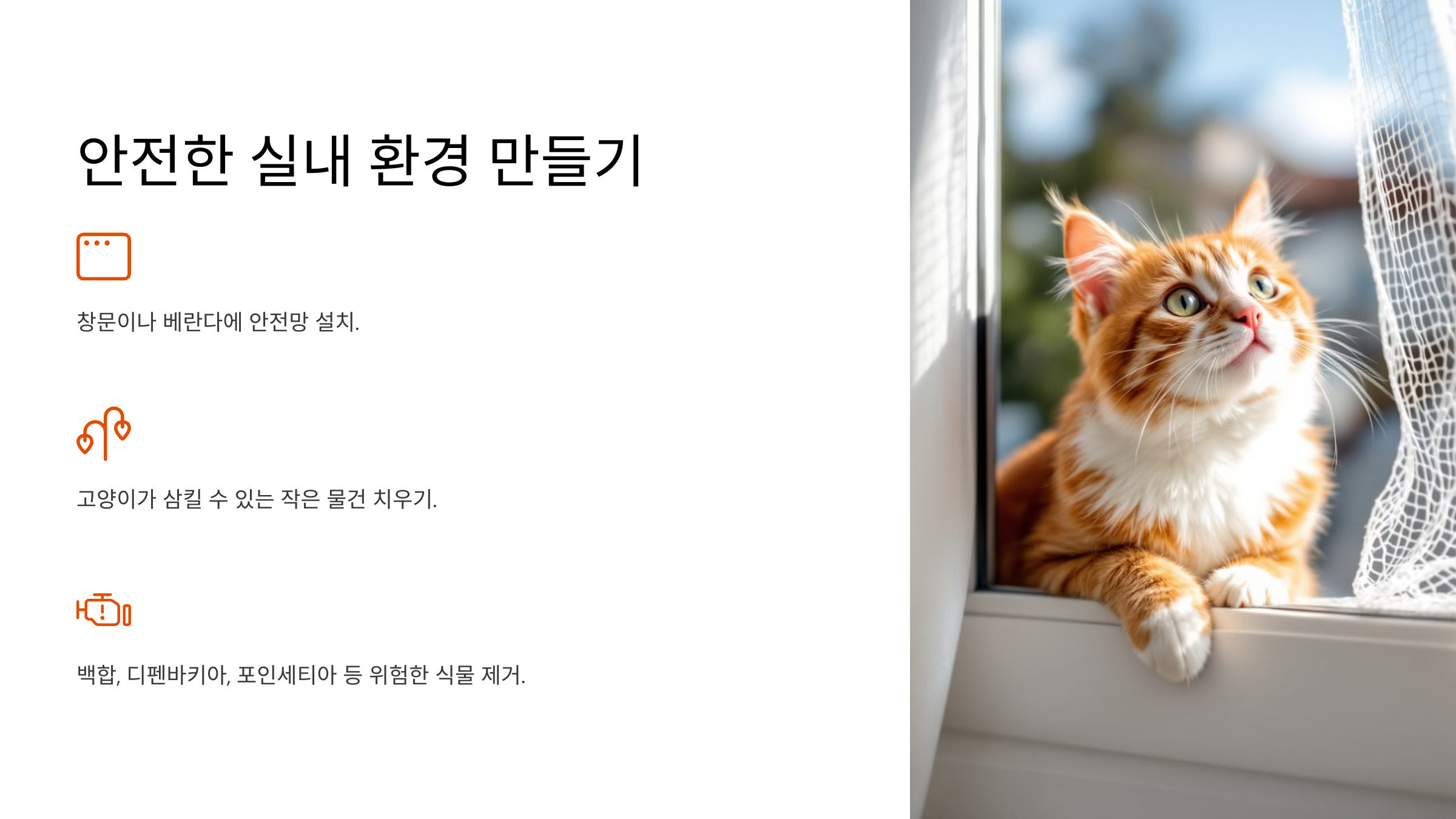 🌱 7. 안전한 실내 환경 만들기