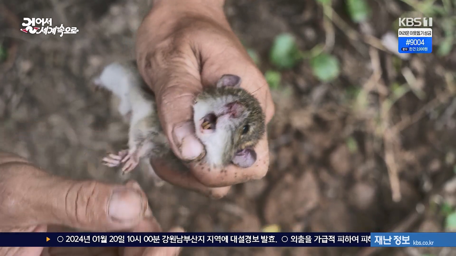 걸어서 세계속으로.E826.240120p.H264-F1RST.mp4_20240716_202127.757.jpg