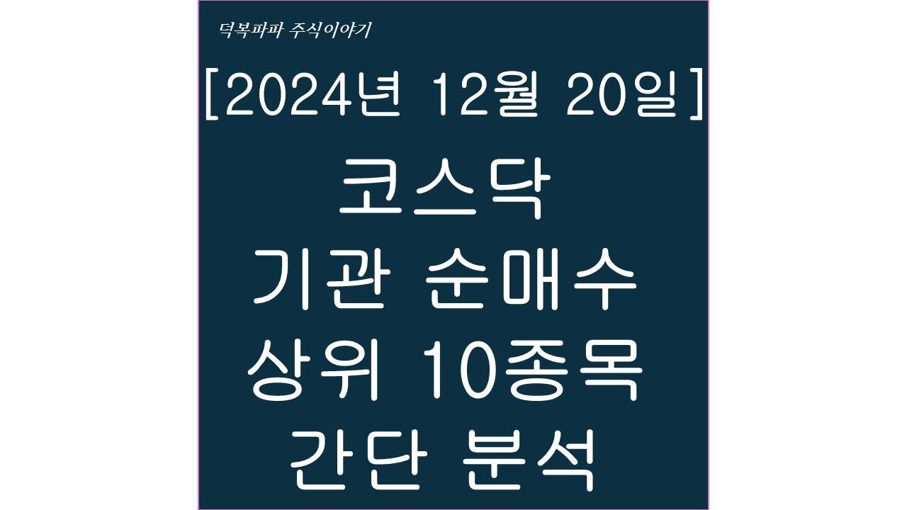 [2024년 12월 20일] 코스닥 기관 순매수 상위 10종목 간단 분석