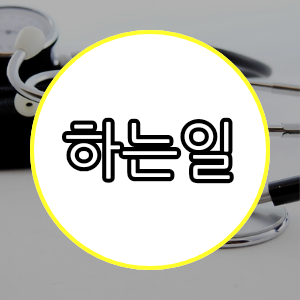 하는일