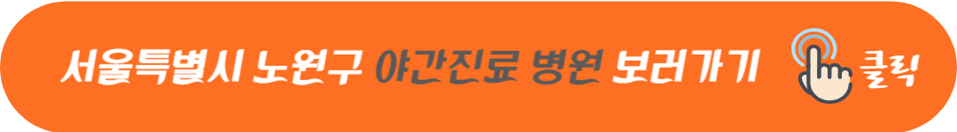 서울특별시 노원구 토요일 일요일 공휴일 및 야간에 문여는 병원 및 영업하는 약국