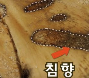  침향환 효능, 부작용, 가격~