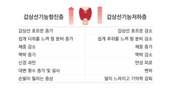 갑상샘 저하증 갑상선 기능저하증 증상 수치 치료_16