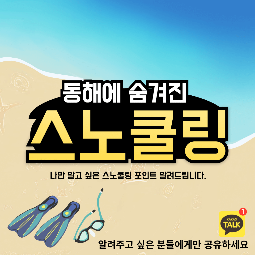 동해 스노쿨링 장소