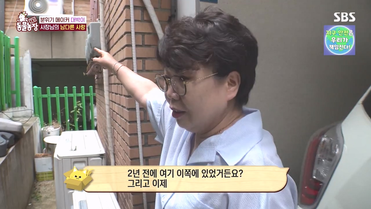 TV 동물농장.E1141.231016p-NEXT.mp4_20231015_174003.775.jpg