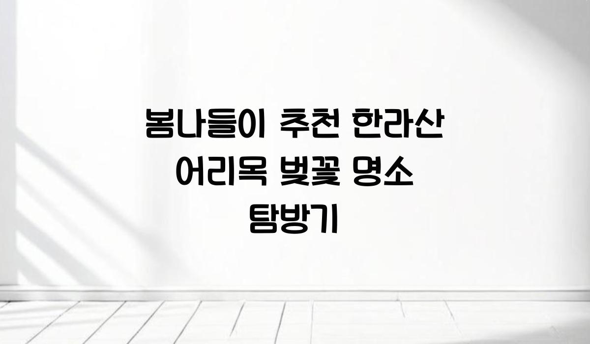 한라산 어리목 벚꽃 명소