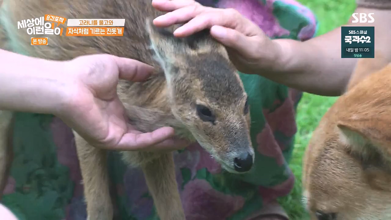순간포착 세상에 이런일이.E1244.230903p-NEXT.mp4_20230903_173232.460.jpg