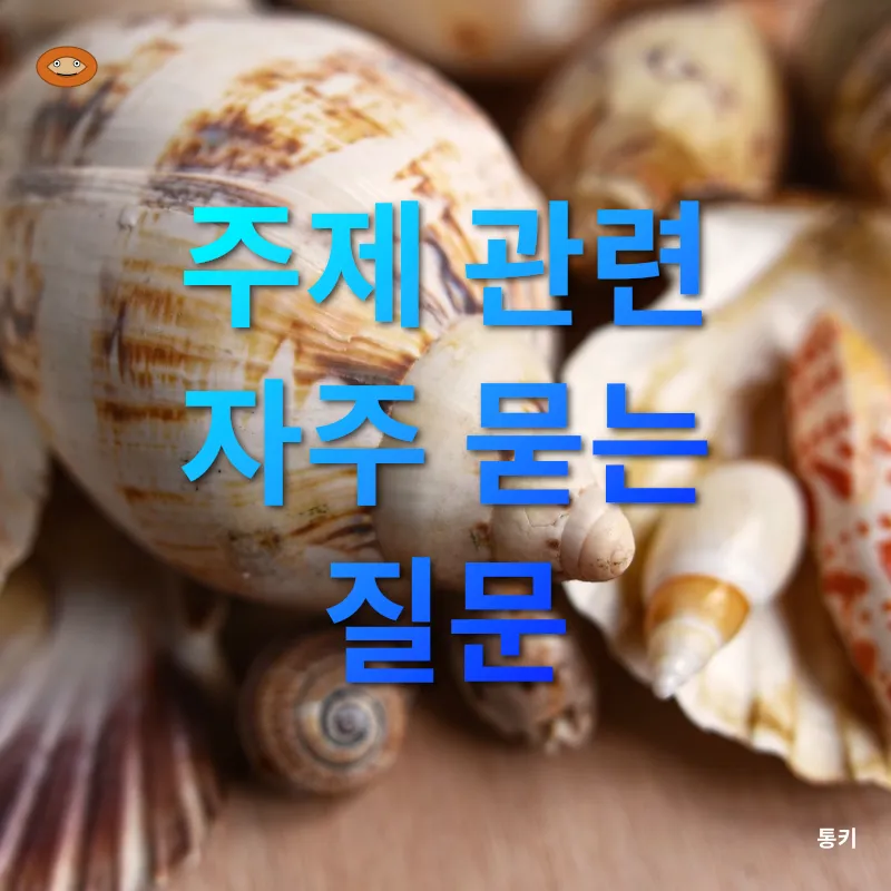 홍가리비 요리_4