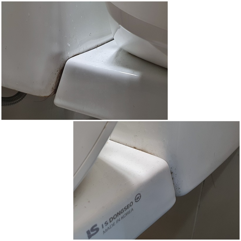  변기 틈새 물때
