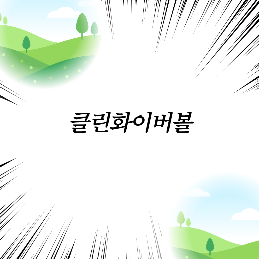  클린화이버볼