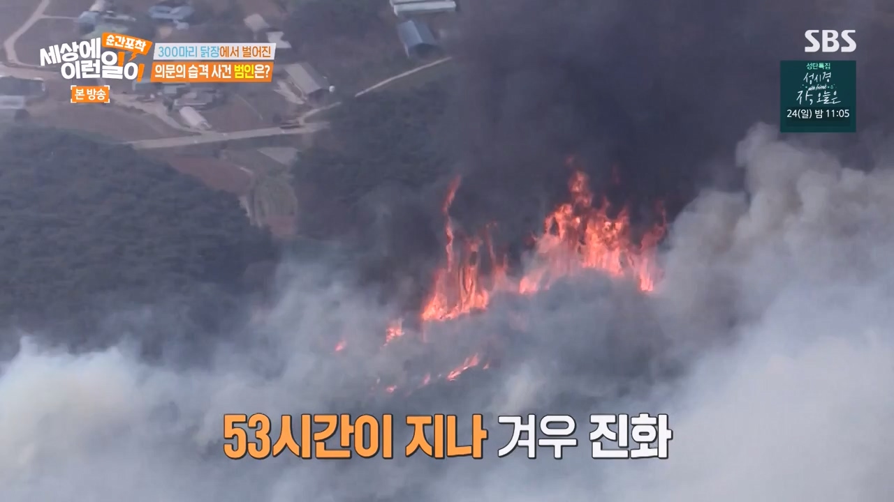 순간포착 세상에 이런일이.E1257.231224p-NEXT.mp4_20231224_180235.244.jpg