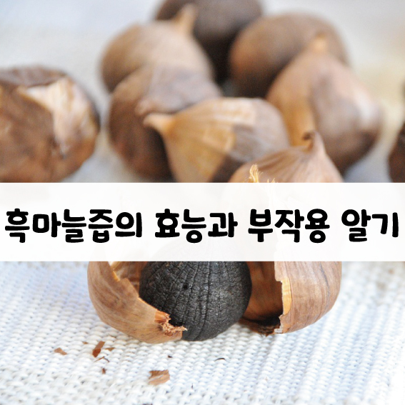 흑마늘즙 효능 알기.