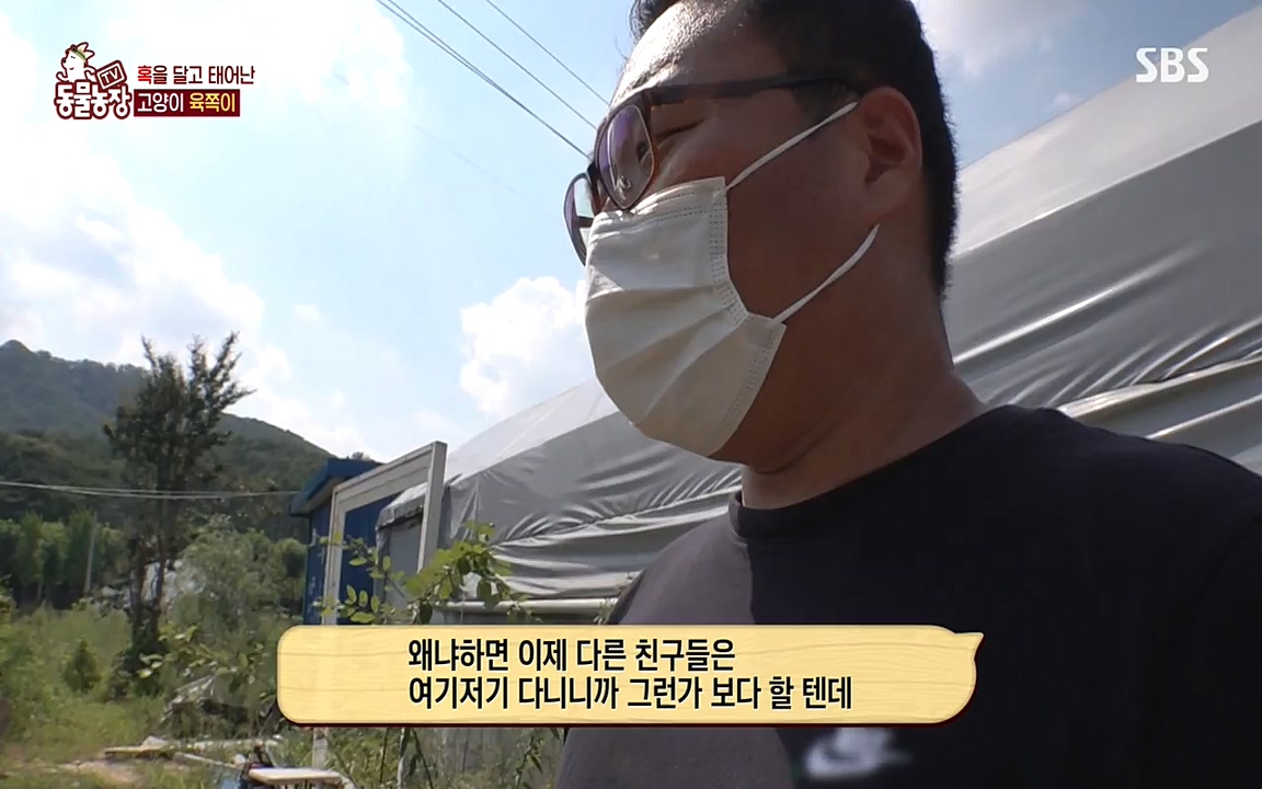TV 동물농장.E1087.220919p-NEXT.mp4_20220918_180231.774.jpg
