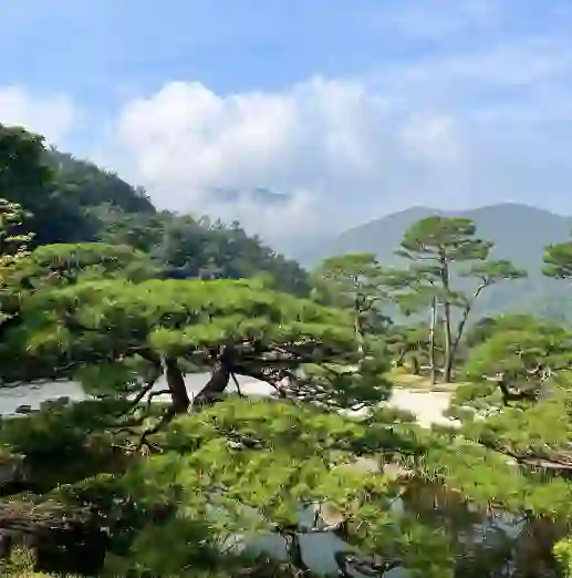 화담숲 예약 입장료 모노레일 단풍 절정 시기