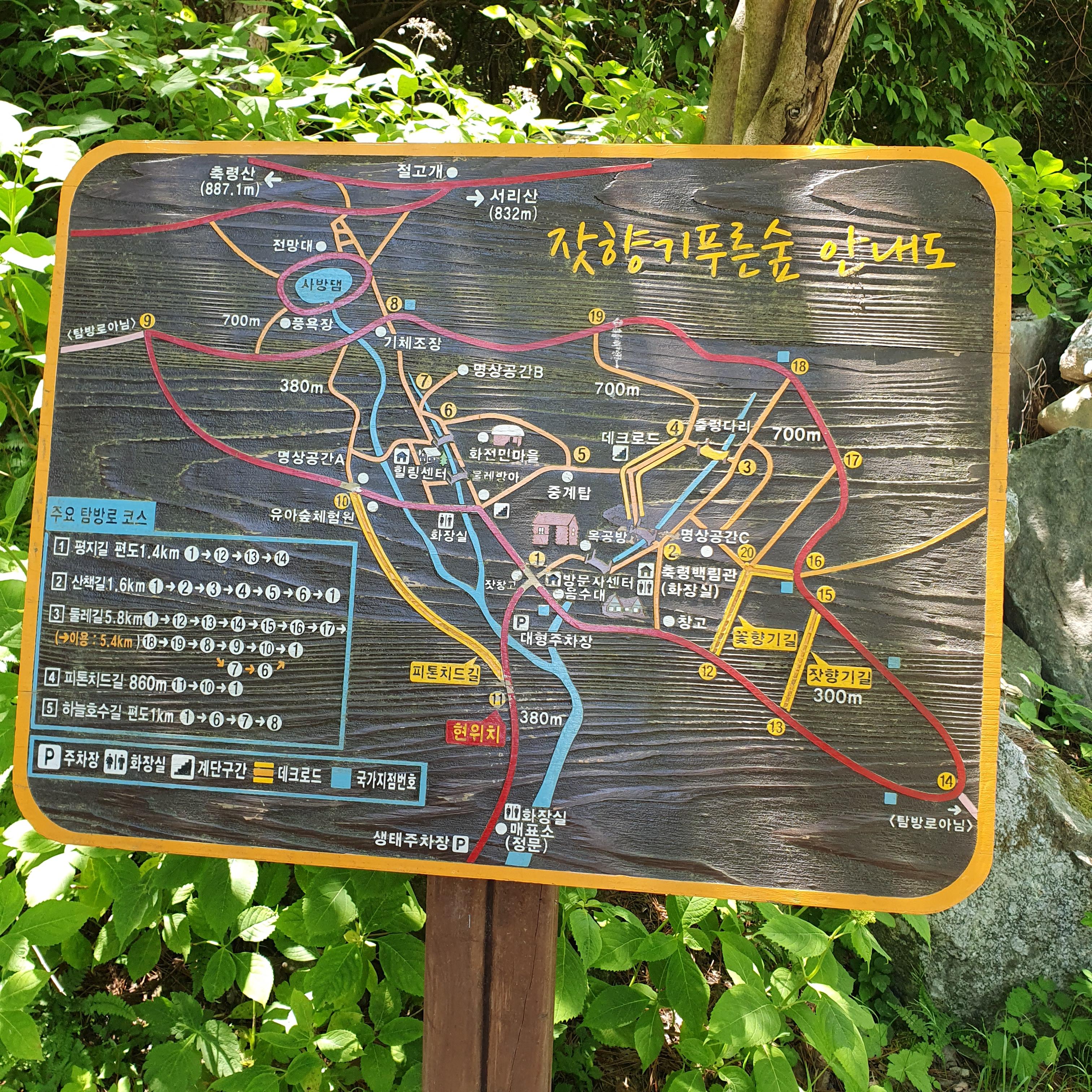 잣향기푸른숲 안내도