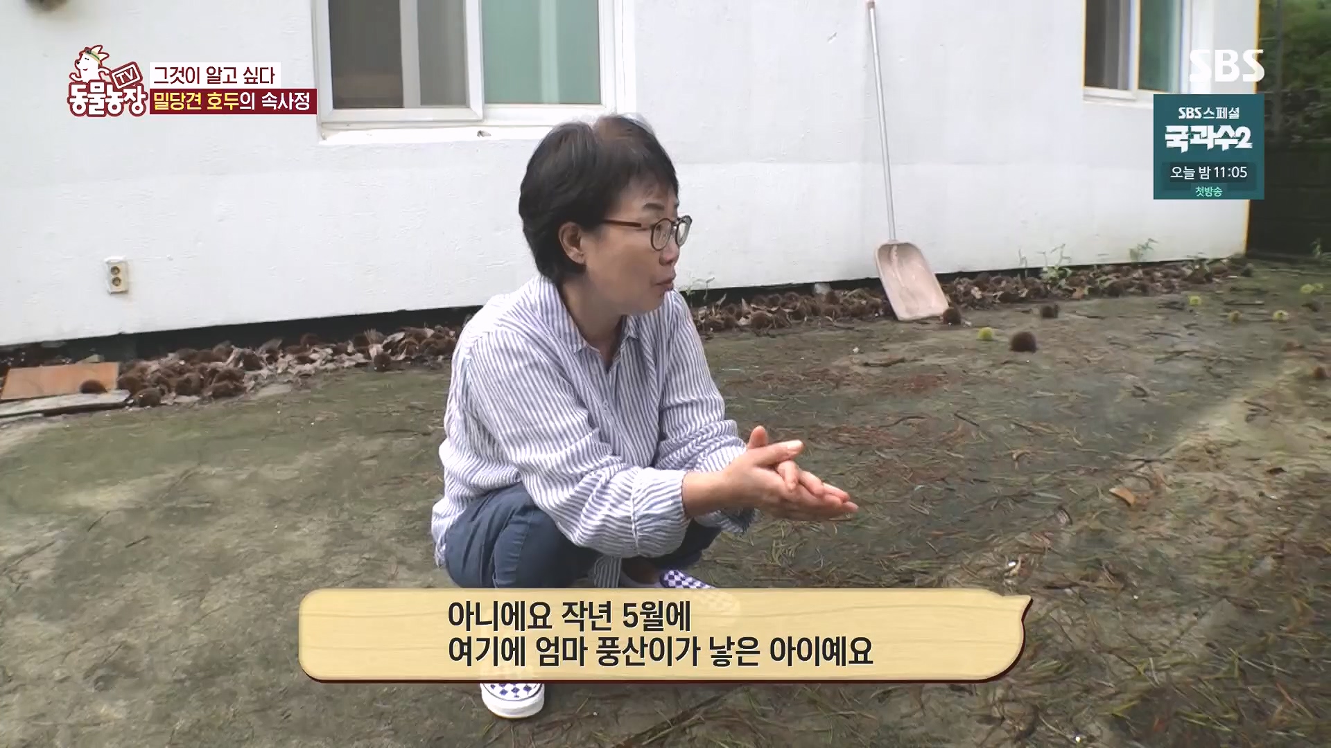 TV 동물농장.E1136.230903p.H264-F1RST.mp4_20230903_180343.260.jpg