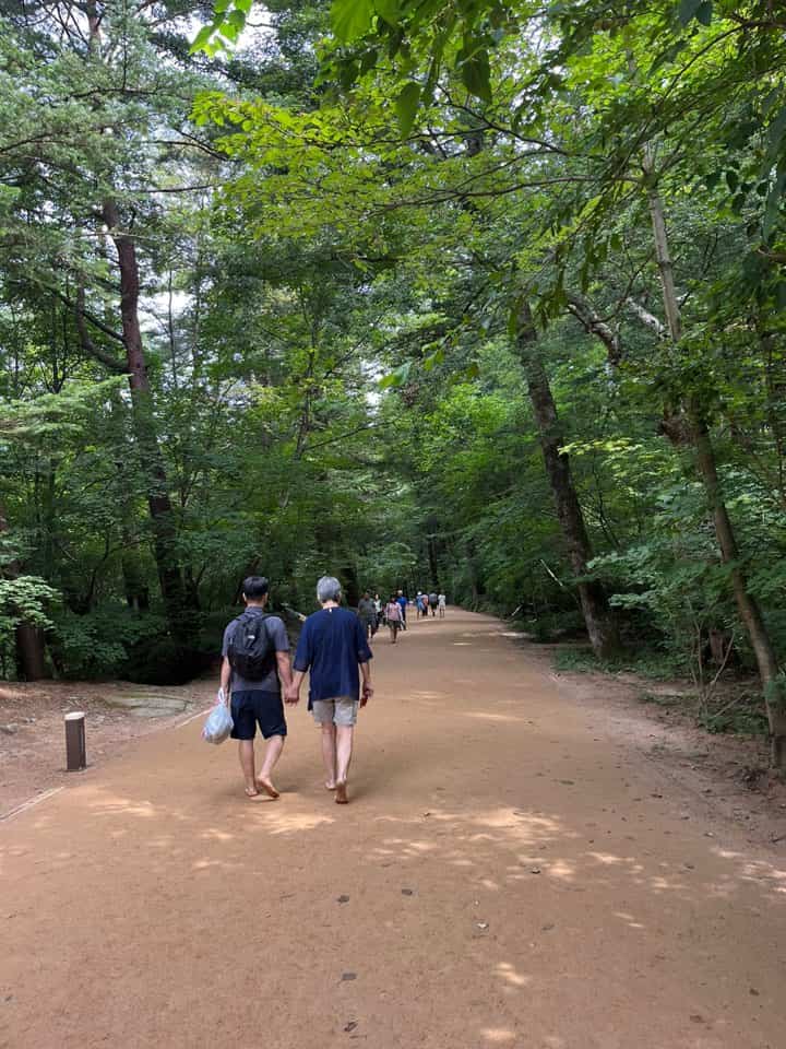 월정사 전나무 숲길 맨발