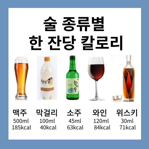 술 종류별 칼로리